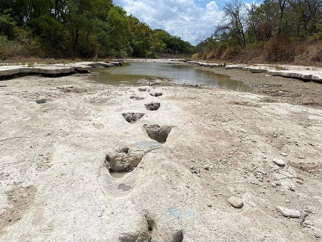A recent severe drought in Dinosaur Valley State Park in Texas has caused many rivers to dry up, allowing dinosaur footprints 113 million years ago to be seen again.