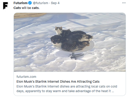 Cats in Canada keep warm on Starlink devices